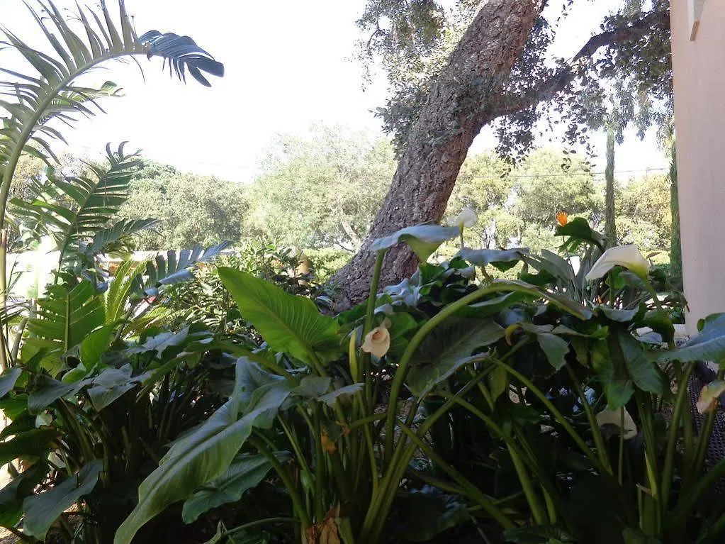 Appartement Villa Angelina Sainte-Maxime Hotel
